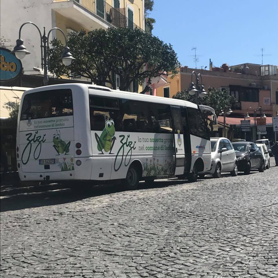 Navetta gratuita Ischia - ZiZi