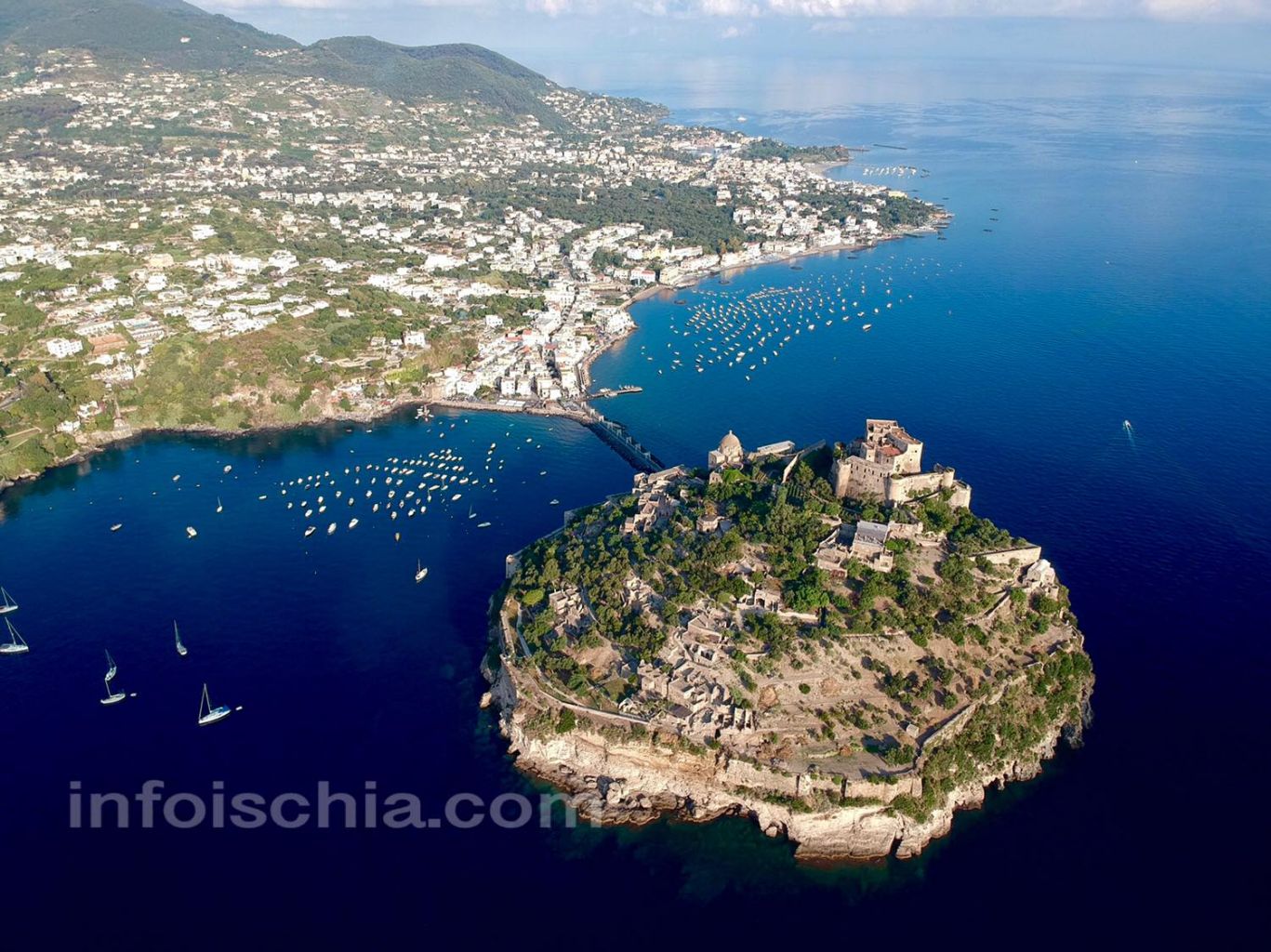 Il castello Aragonese con il Borgo di Ischia Ponte