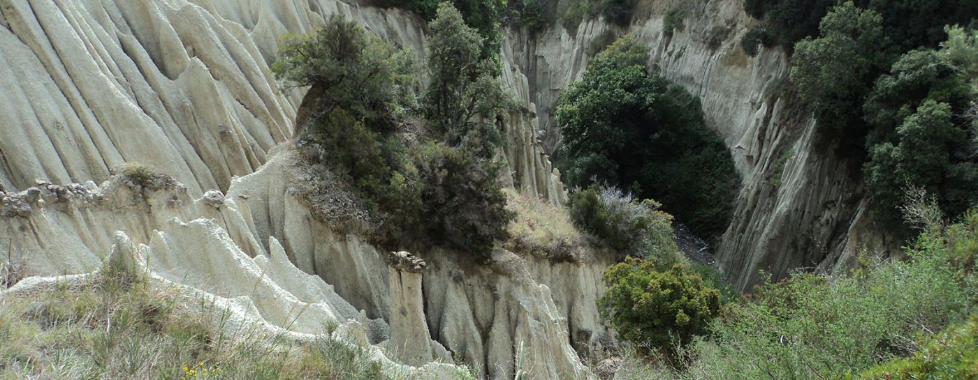 Pizzi Bianchi Ischia - Info Ischia