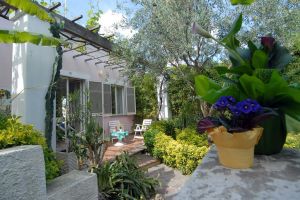 Hotel Terme Colella Ischia - Hotel 3 Stelle Forio - Info ischia